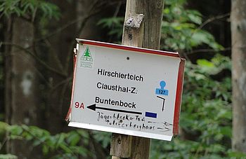 Wanderung_2018_3.JPG